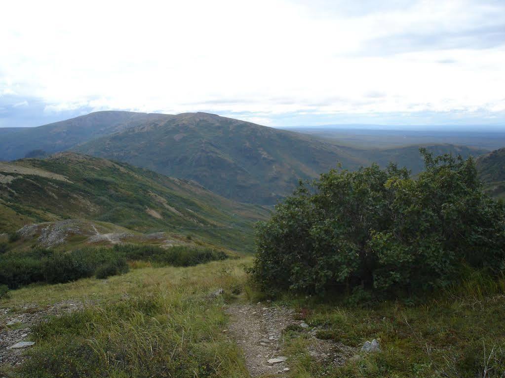 Denali Backcountry Lodge المظهر الخارجي الصورة